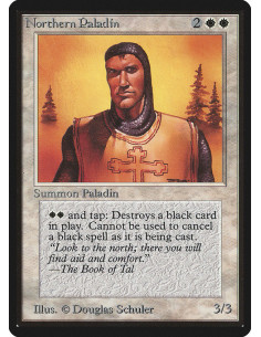 Northern Paladin