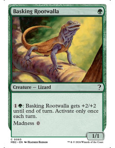 Basking Rootwalla