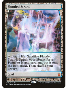 Flooded Strand - Foil
