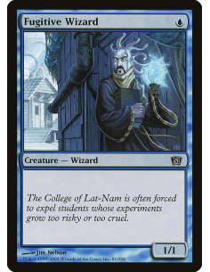 Fugitive Wizard - Foil