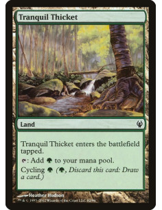 Tranquil Thicket