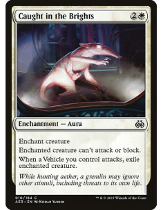 Caught in the Brights