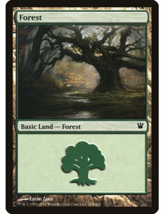 Forest - Foil