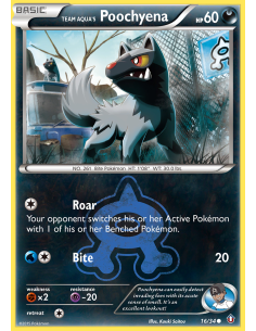 Team Aqua's Poochyena