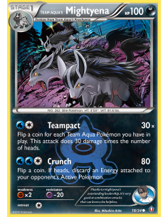 Team Aqua's Mightyena