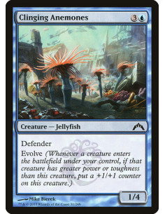 Clinging Anemones