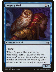 Augury Owl