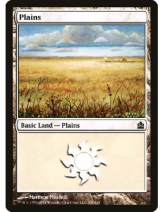 Plains