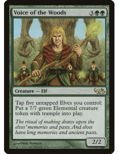 Voice of the Woods