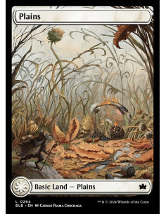 Plains