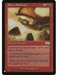 Shiv's Embrace