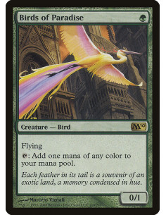 Birds of Paradise - Foil