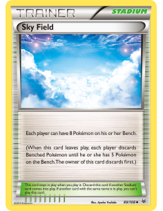 Sky Field