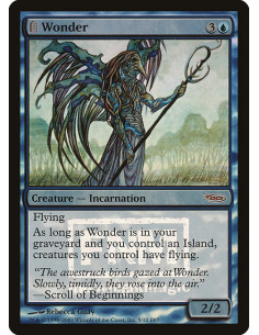 Wonder - Foil