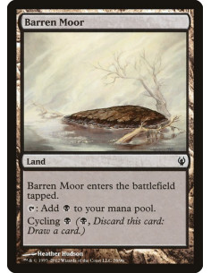 Barren Moor
