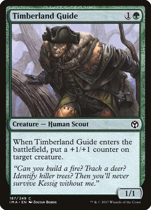 Timberland Guide - Foil