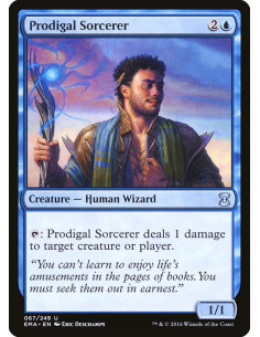 Prodigal Sorcerer