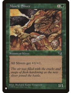Muscle Sliver