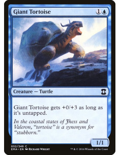 Giant Tortoise - Foil