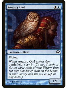 Augury Owl