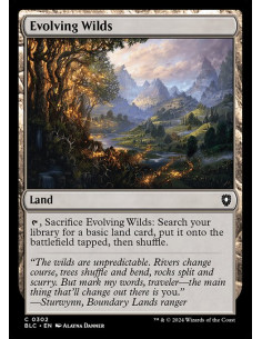 Evolving Wilds