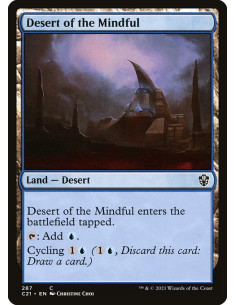 Desert of the Mindful