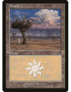 Plains - Foil