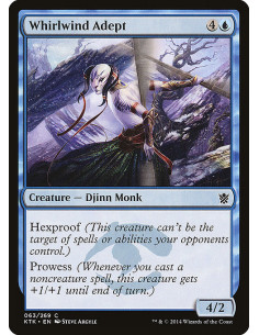 Whirlwind Adept