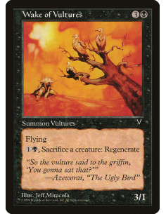 Wake of Vultures
