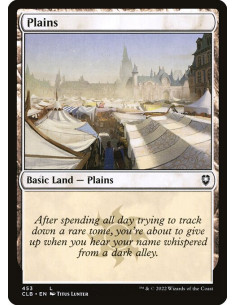 Plains