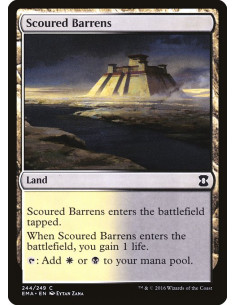 Scoured Barrens