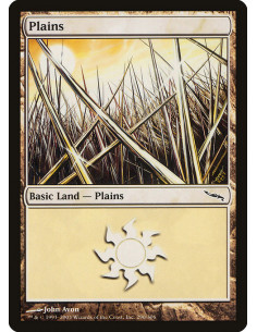 Plains - Foil