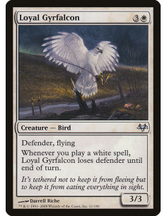 Loyal Gyrfalcon
