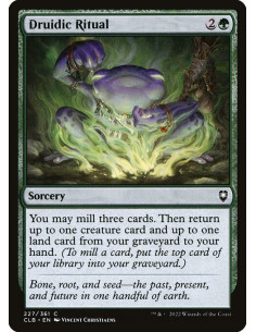 Druidic Ritual - Foil