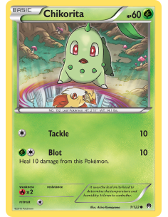 Chikorita