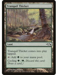 Tranquil Thicket