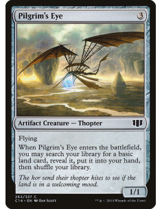 Pilgrim's Eye