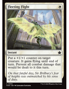 Fleeting Flight