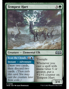 Tempest Hart // Scan the Clouds