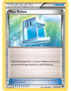 Max Potion