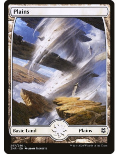 Plains - Foil