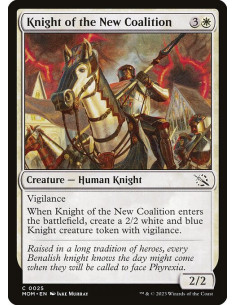 Knight of the New Coalition