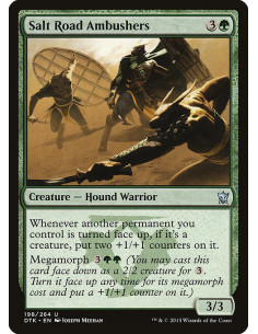 Salt Road Ambushers - Foil