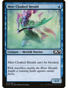 Mist-Cloaked Herald