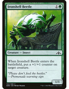 Ironshell Beetle