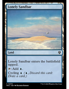 Lonely Sandbar