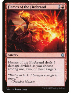 Flames of the Firebrand