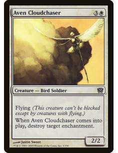 Aven Cloudchaser - Foil