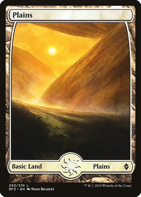 Plains - Foil