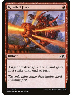 Kindled Fury - Foil
